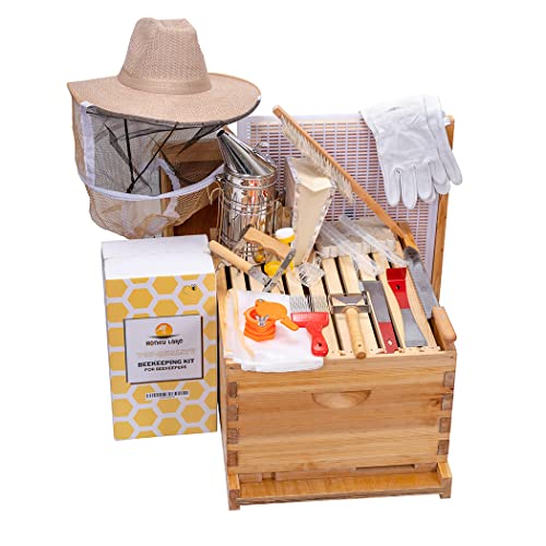 Honey Lake 10 Frame Beehive Starter Kit with tools