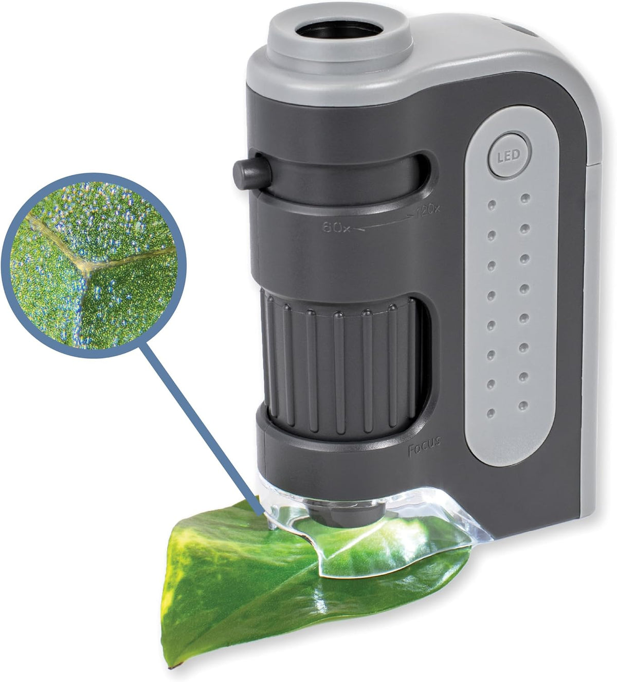 Carson MicroBrite Plus LED Pocket Microscope, 60x–120x