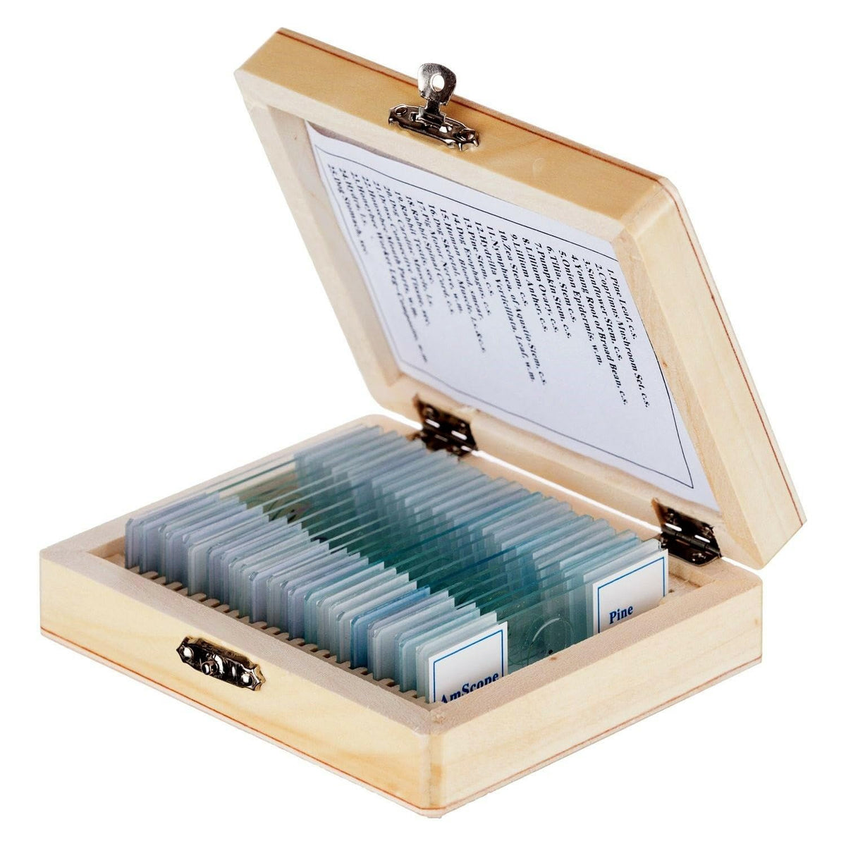 AmScope Prepared Microscope Slides, 25-Slide Basic Biology Set