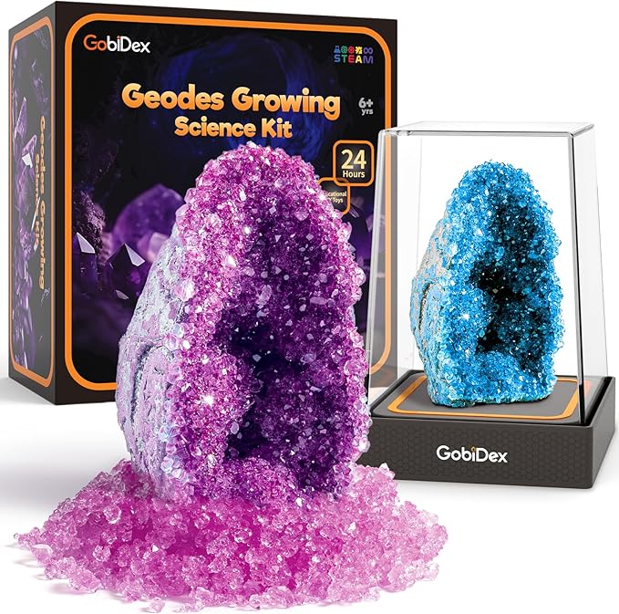 GobiDex Geodes Crystal Growing Science Kit