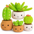 Succulents Crochet Kit for Beginners with 4 Patterns