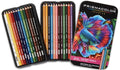 Prismacolor Premier 24 colored pencil set in a black metal tin, shown open with the pencils arranged inside and the front cover featuring a colorful betta fish illustration.